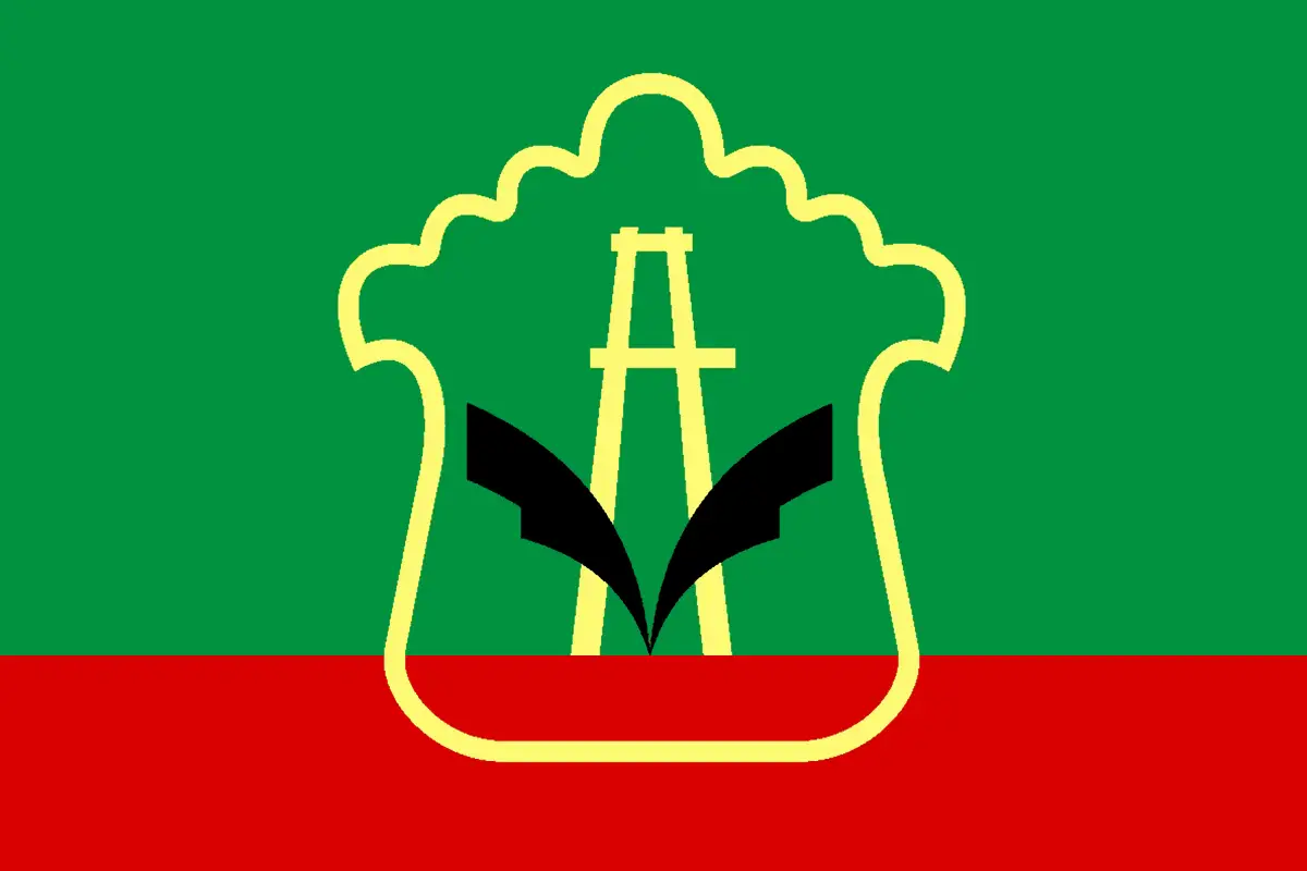Флаг: Альметьевский район
